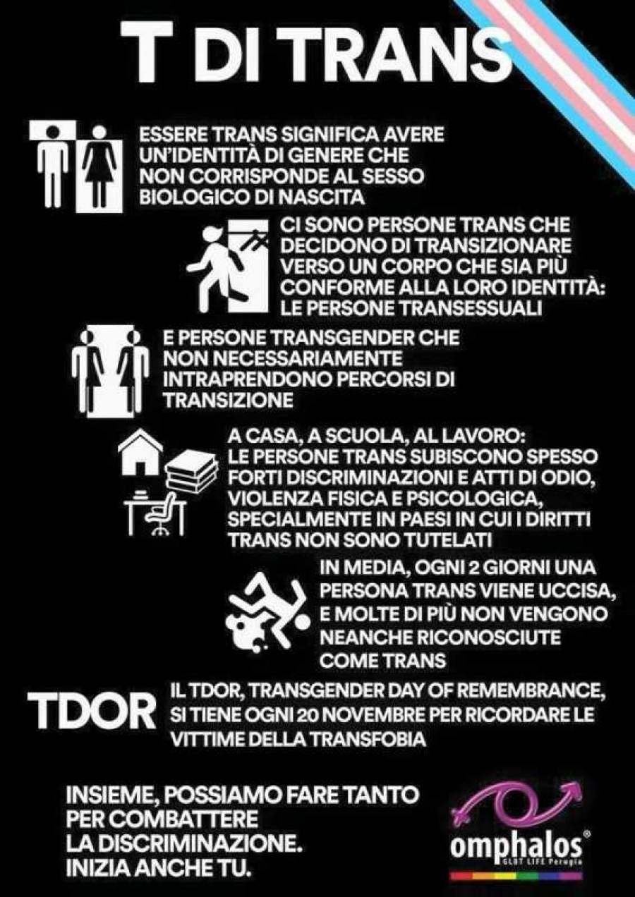 iosonotrans